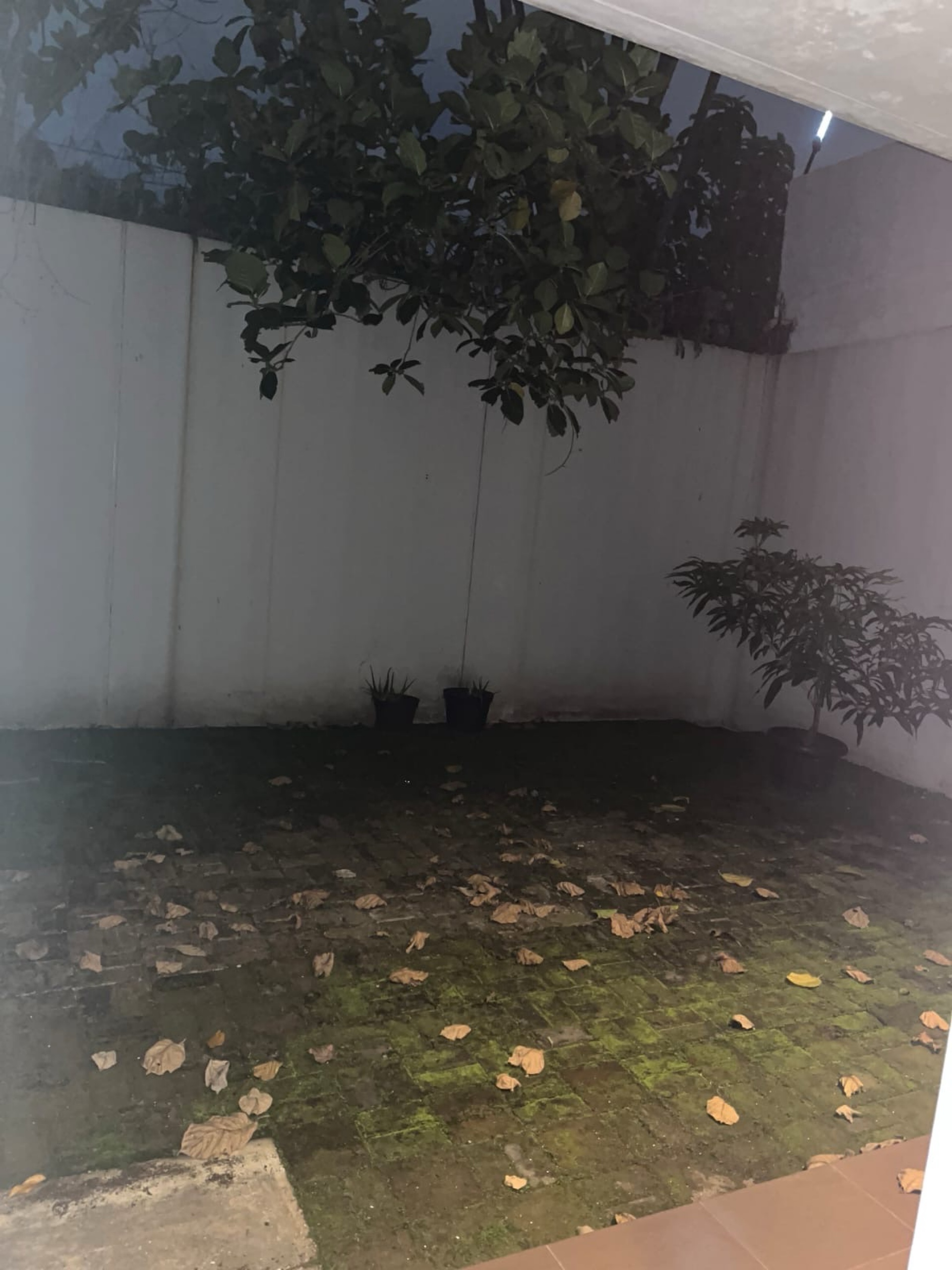 Rumah Disewa di Tangerang, foto 6 dari 9