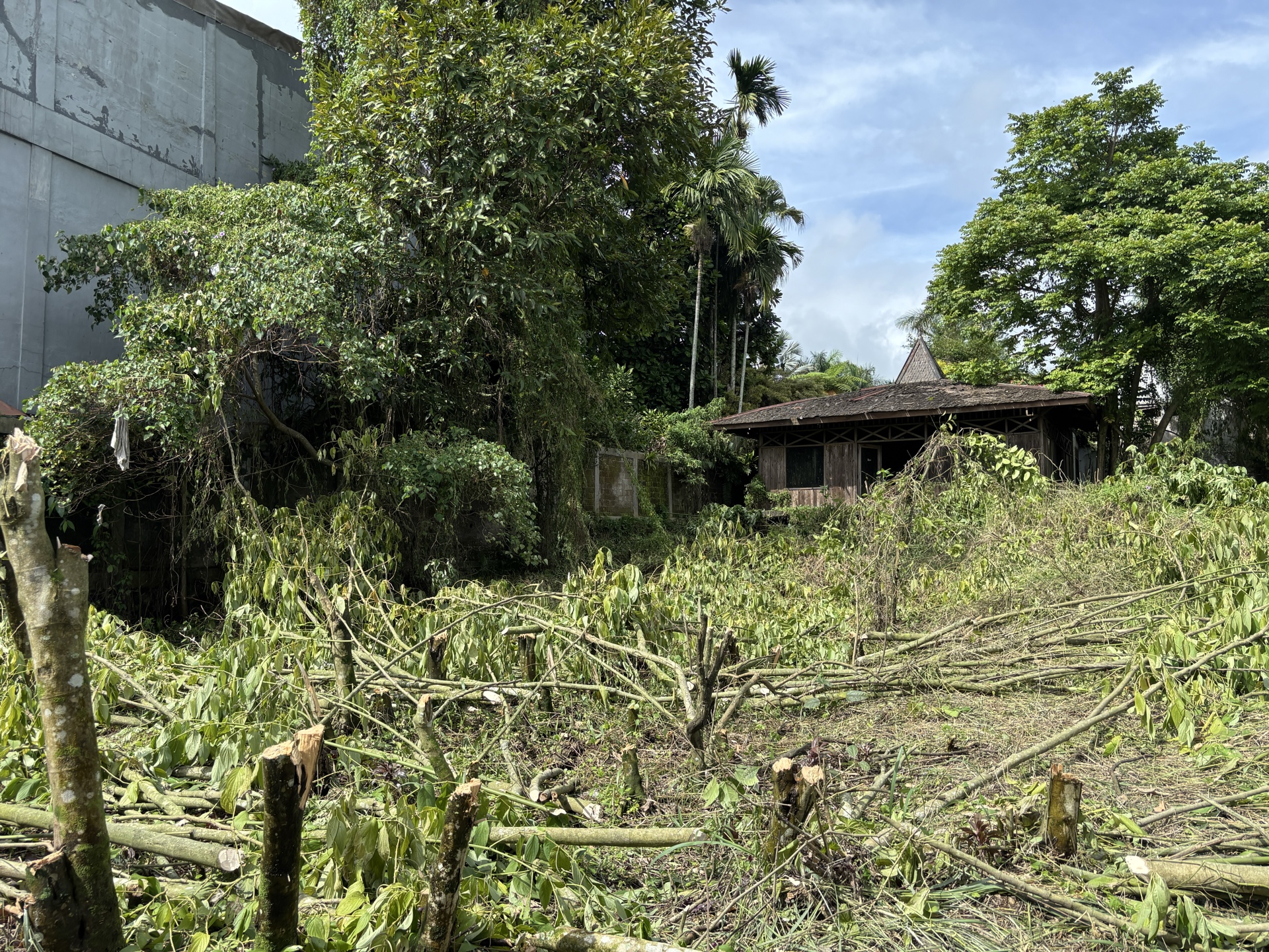 Tanah / Kavling Dijual di Bogor, foto 1 dari 7