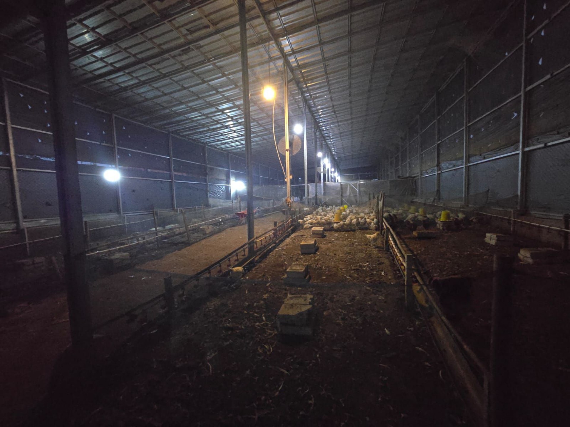 Gudang Dijual di Bogor, foto 1 dari 10