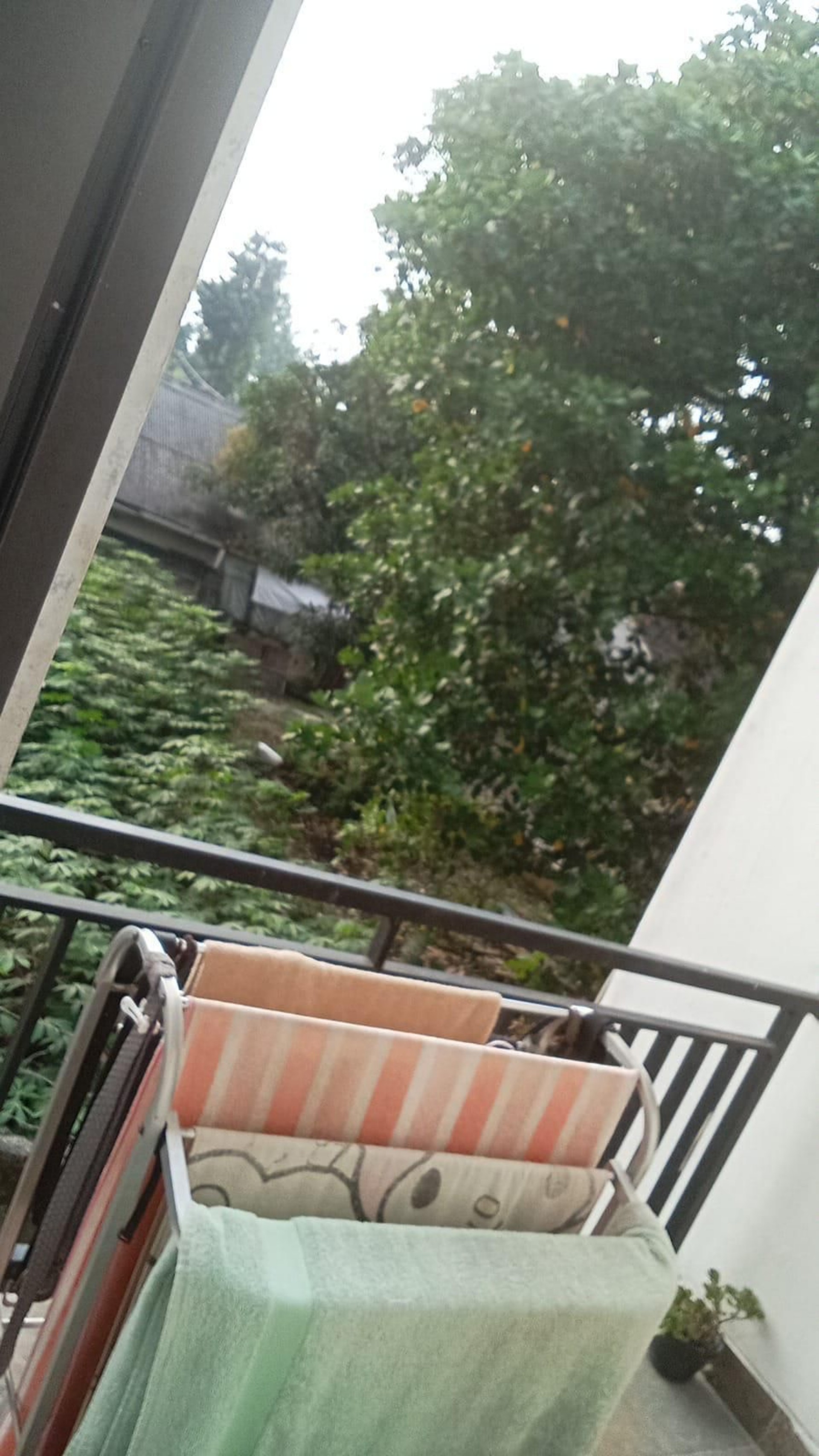 Rumah Dijual di Tangerang, foto 8 dari 8