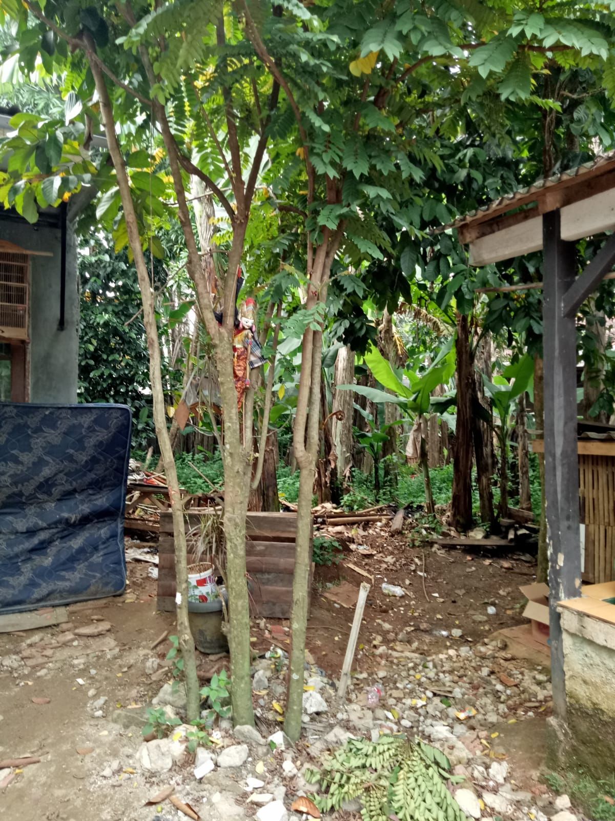 Tanah/Kavling Dijual di Pamulang, Tangerang Selatan, foto 4 dari 9