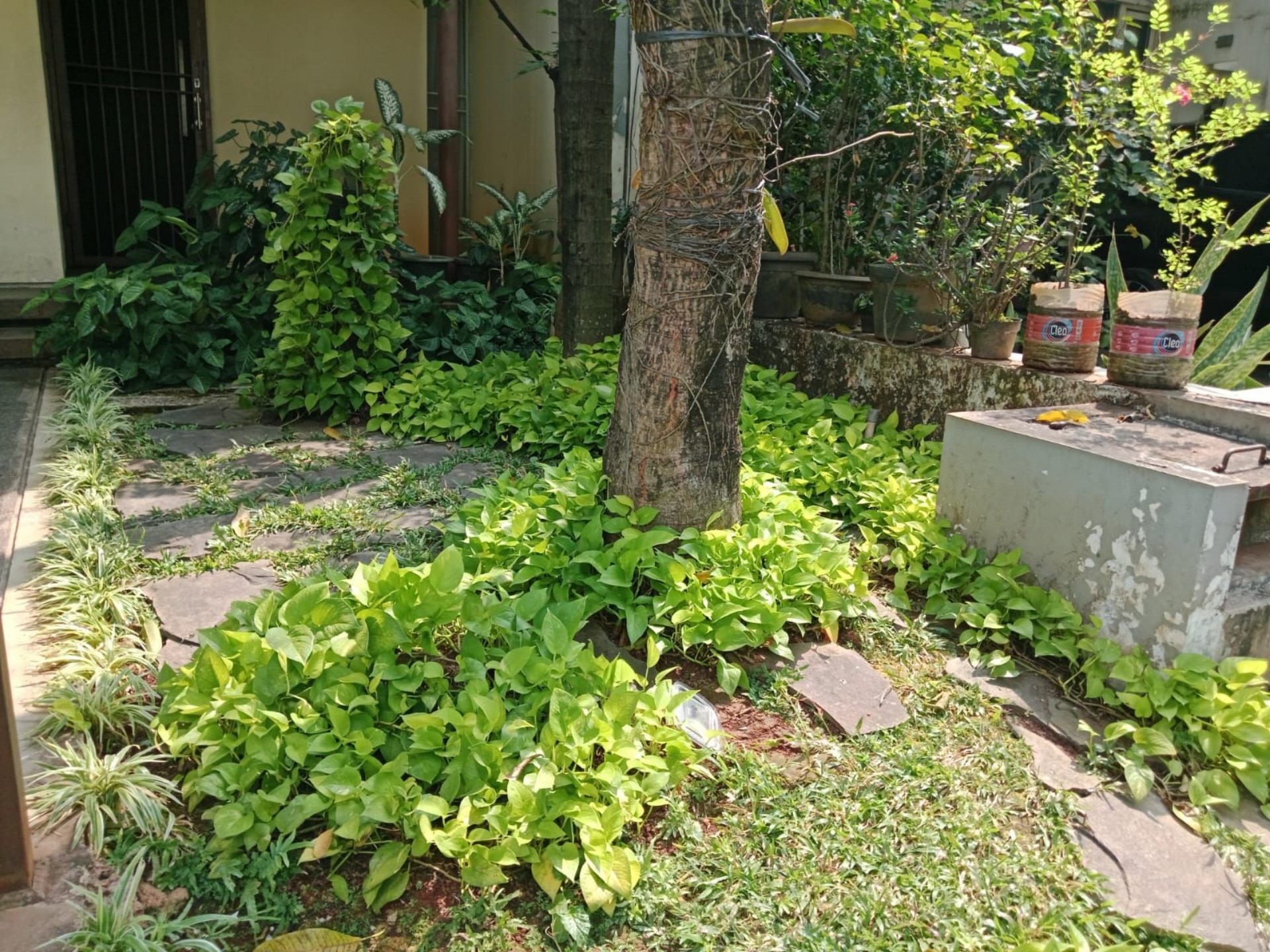 Rumah Dijual di Jakarta Barat, foto 1 dari 10