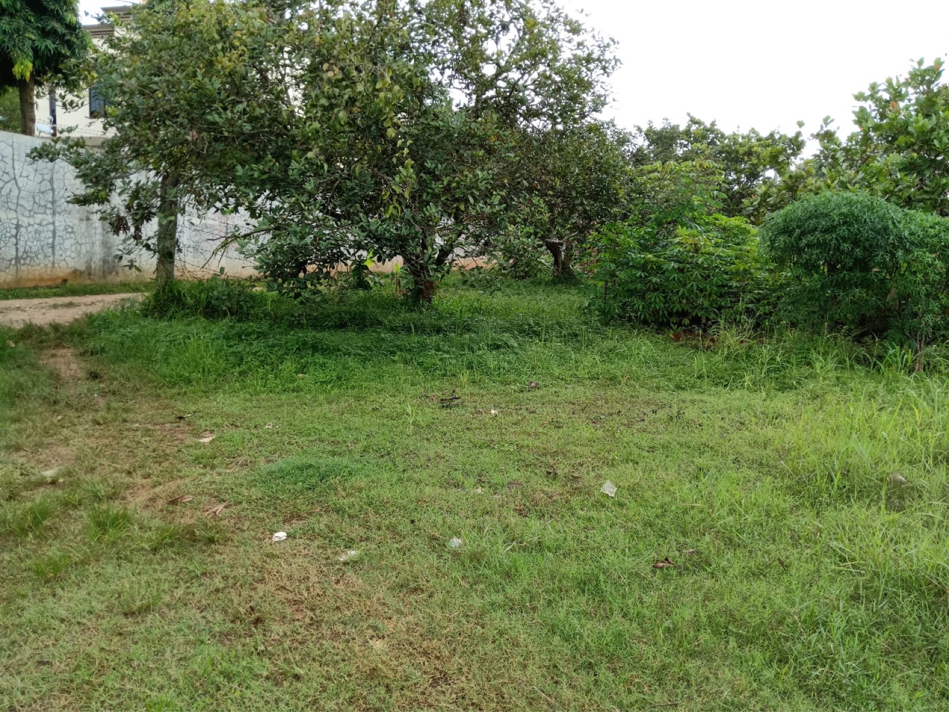 Tanah / Kavling Dijual di Tangerang, foto 1 dari 6