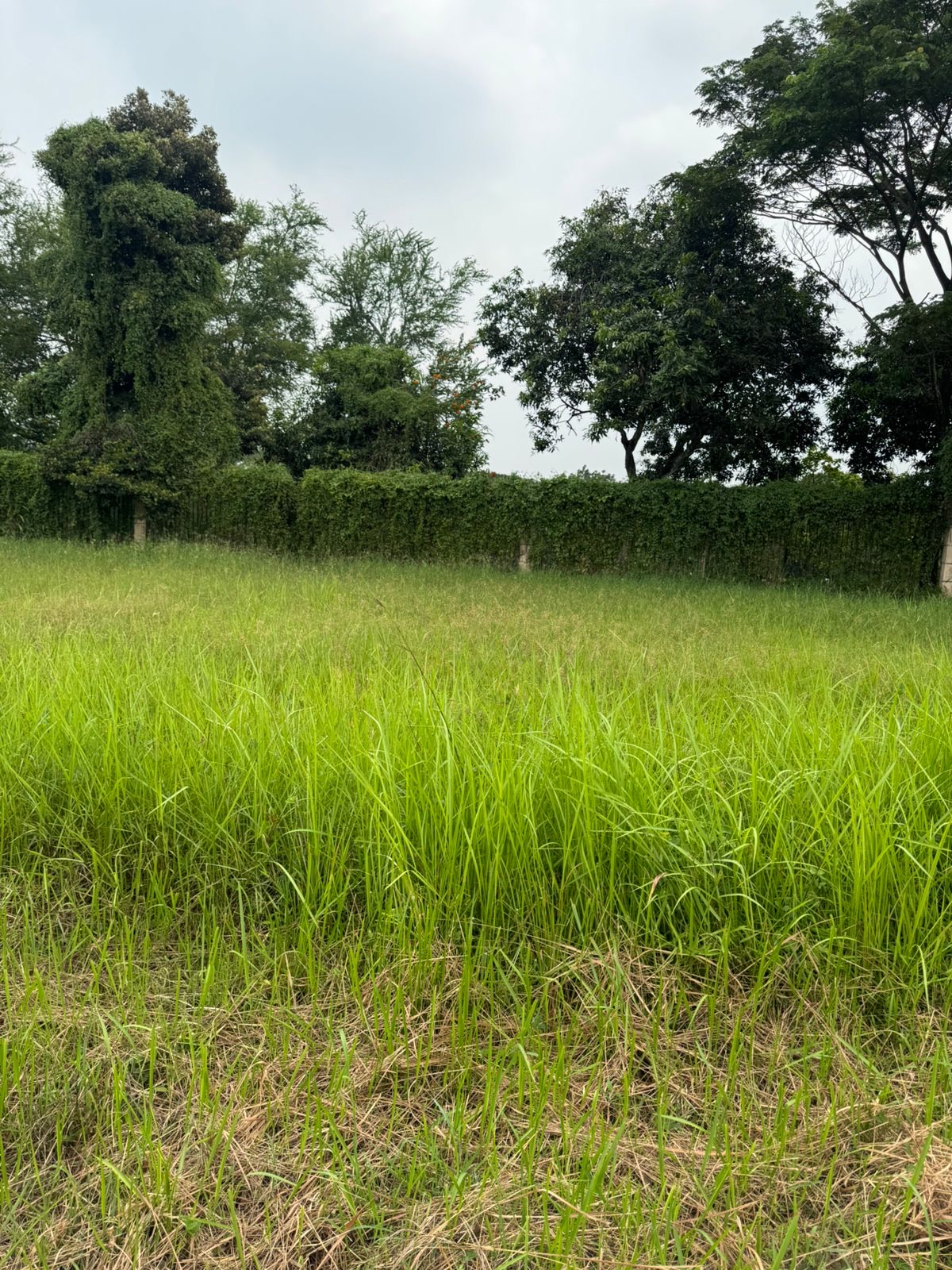 Tanah / Kavling Dijual di Tangerang, foto 1 dari 10