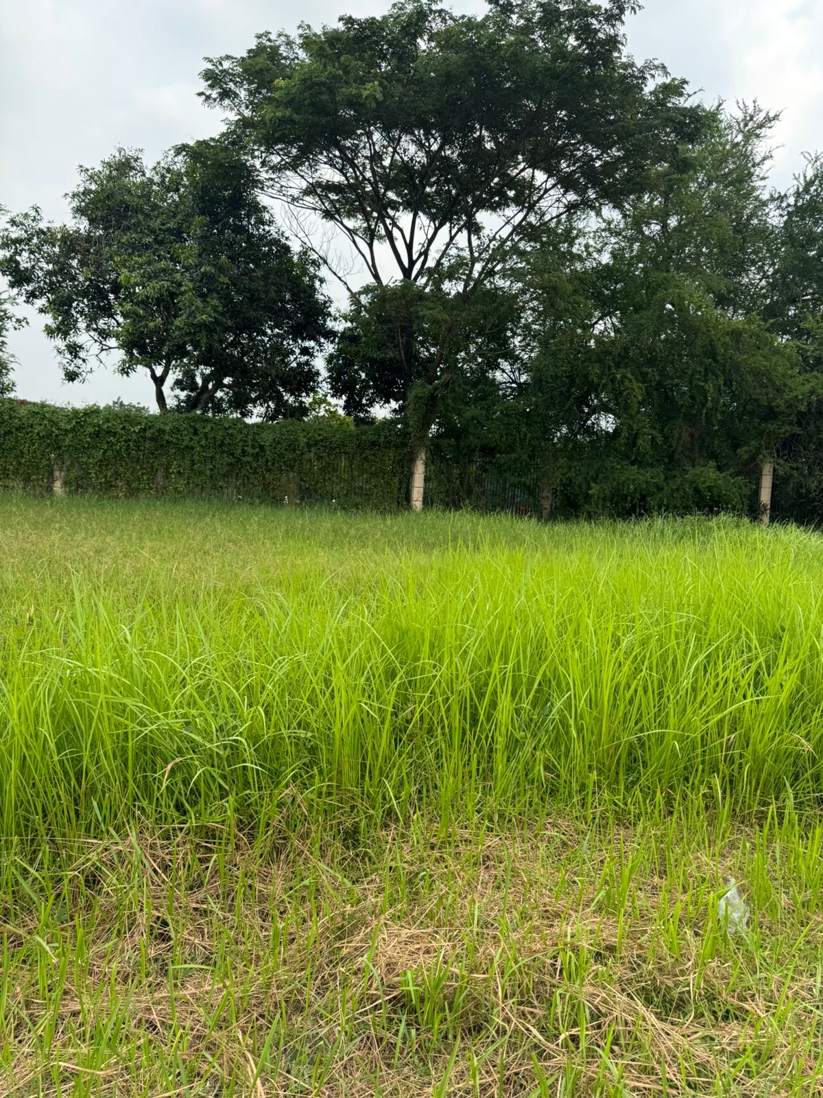 Tanah / Kavling Dijual di Tangerang, foto 1 dari 10