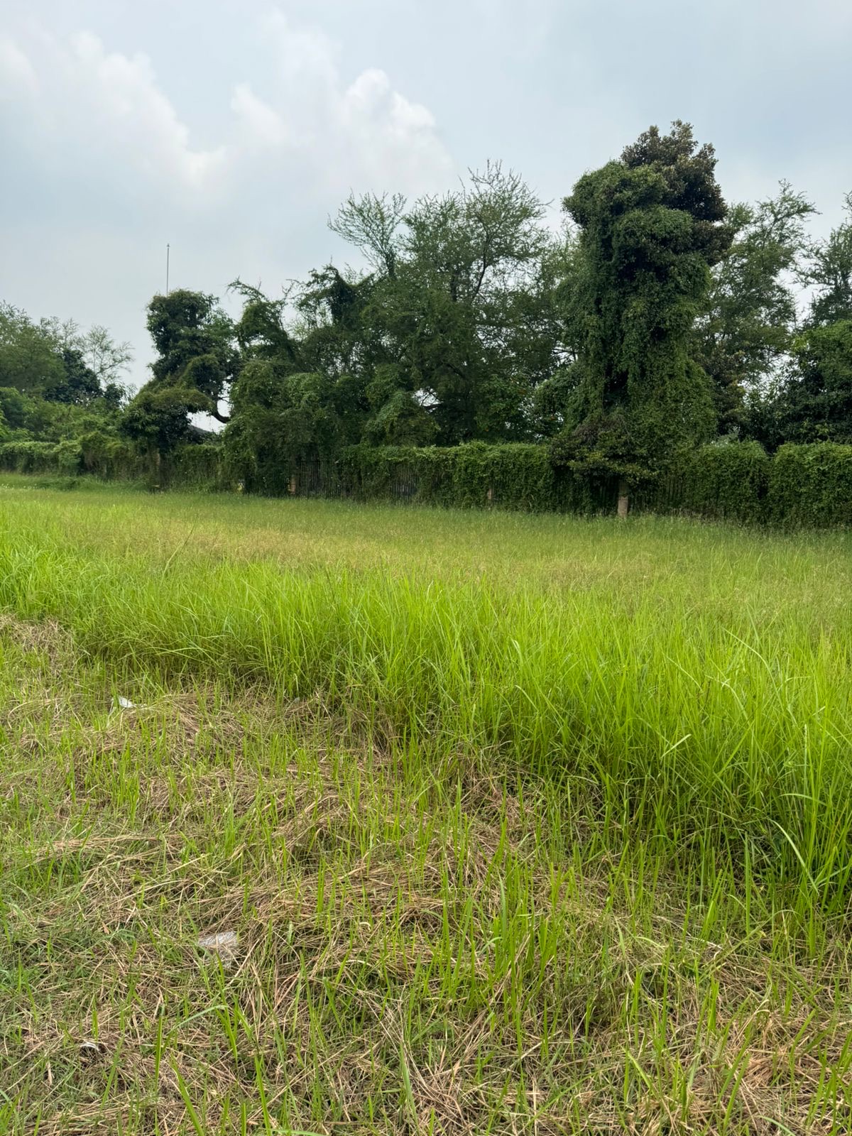 Tanah / Kavling Dijual di Tangerang, foto 1 dari 10
