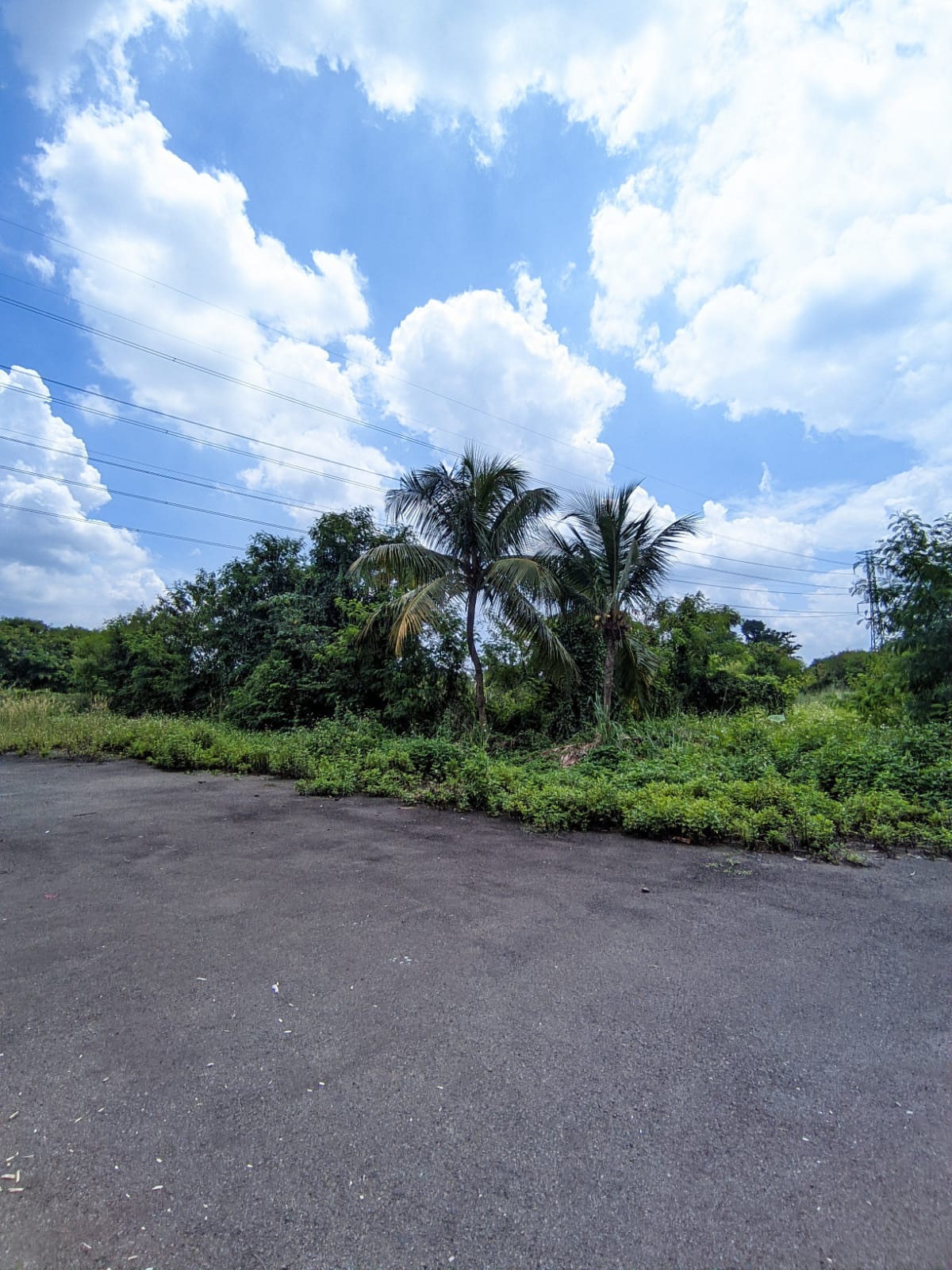 Tanah / Kavling Dijual di Bogor, foto 1 dari 5