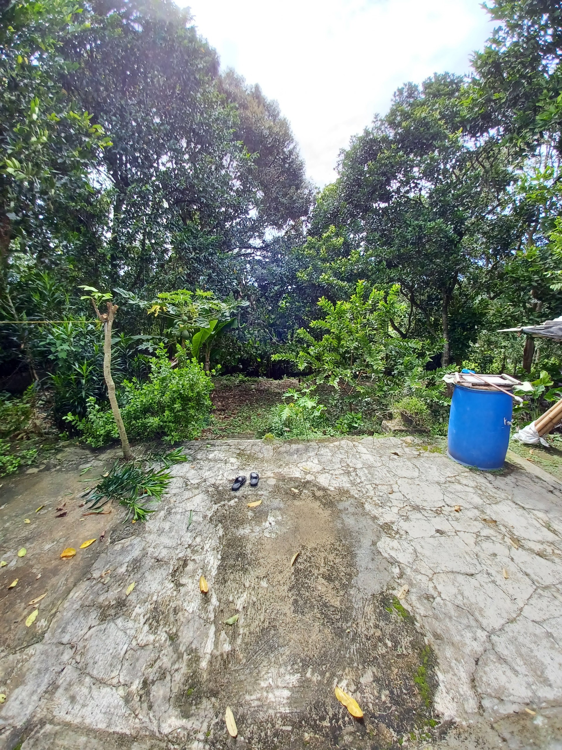 Rumah Dijual di Bogor, foto 9 dari 10
