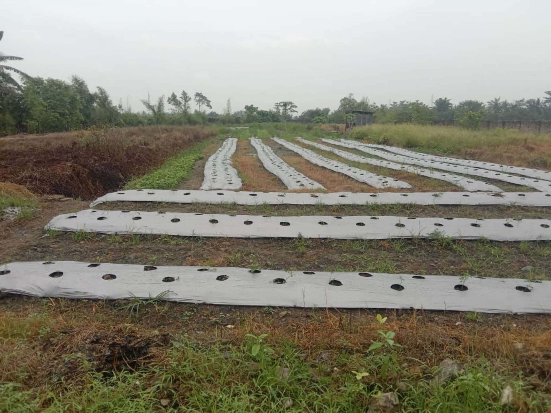 Tanah / Kavling Dijual di Medan, foto 1 dari 6